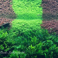 Oceanário de Lisboa