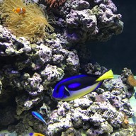 Oceanário de Lisboa