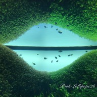 Oceanário de Lisboa