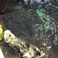 Oceanário de Lisboa