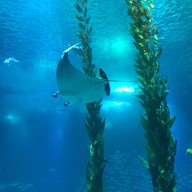 Oceanário de Lisboa