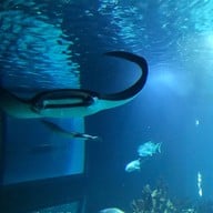 Oceanário de Lisboa