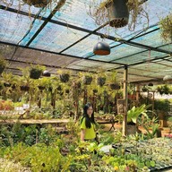 บรรยากาศ Coffee In The Garden at khaoyai