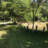 สวนรุกขชาติหนองตาอยู่