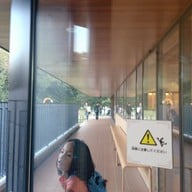 Fujiko F Fujio Museum