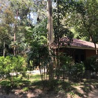 สวนรุกขชาติหนองตาอยู่