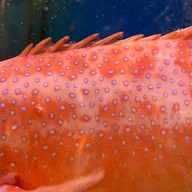 Treasure Paradise 喜盈樓