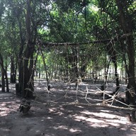 สวนรุกขชาติหนองตาอยู่