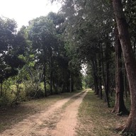 สวนรุกขชาติหนองตาอยู่