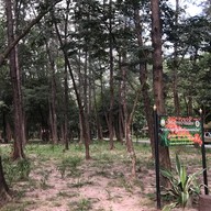 สวนรุกขชาติหนองตาอยู่