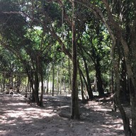 สวนรุกขชาติหนองตาอยู่