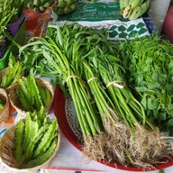 กาดโก้งโค้ง คณะเกษตร มช.