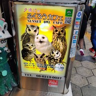 Sunset Owl Cafe
