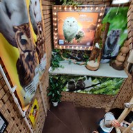 Sunset Owl Cafe