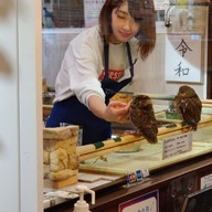 Sunset Owl Cafe