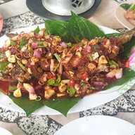 ต่อศักดิ์อาหารป่า