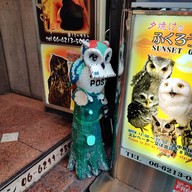 Sunset Owl Cafe