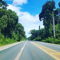 บรรยากาศ ป่าโอโซน