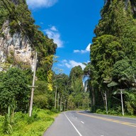 บรรยากาศ ป่าโอโซน