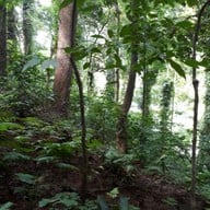 บรรยากาศ น้ำตกกะโรม