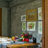 บรรยากาศ ดอกป่าหญ้าปาย