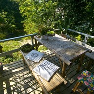 บรรยากาศ ดอกป่าหญ้าปาย