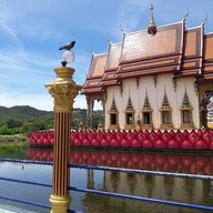 บรรยากาศ วัดปลายแหลม สมุย