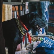 วัดดอนจั่น