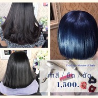 ร้านตัดผม House of hair