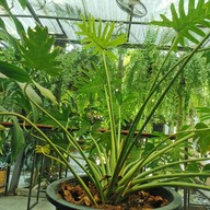 Crystal Box Coffee & Wine Zone