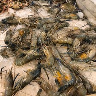 เมนูของร้าน HuaHin Seafood Buffet