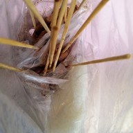 หมูปิ้งจิ๋ว สันติธรรม