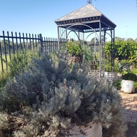 บรรยากาศ Indulge Brasserie Moorebank Sport Club