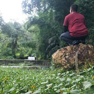 บรรยากาศ น้ำตกโตนไทร