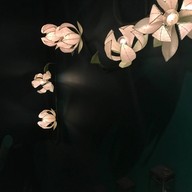 Erb Spa Warehouse 30