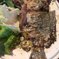 วังตะแบกปลาเผา