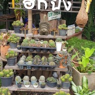 ร้านฮักปิง