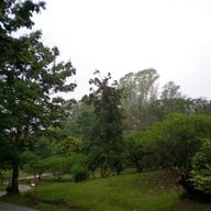 ทรัพย์ไพรวัลย์รีสอร์ท