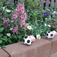 ครัวกัลยา