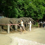 ทรัพย์ไพรวัลย์รีสอร์ท