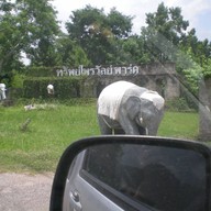 ทรัพย์ไพรวัลย์รีสอร์ท