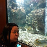 บรรยากาศ สถานแสดงพันธุ์สัตว์น้ำระยอง