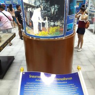 บรรยากาศ สถานแสดงพันธุ์สัตว์น้ำระยอง