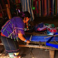 ปางช้างแม่แตง