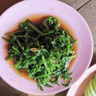 วังน้ำปัว