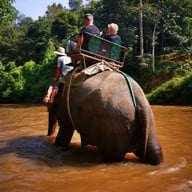 ปางช้างแม่แตง