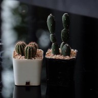 Relaxroom