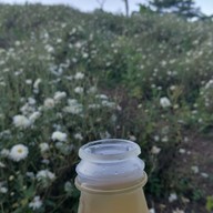 ทุ่งดอกเก็กฮวย ไร่นายพล