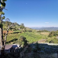 ไร่ผ่อดอย