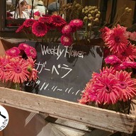 บรรยากาศ Aoyama Flower Market TEA HOUSE  Omote-Sando